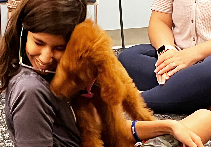 A heartwarming email about the therapy dogs at Eagles’ Haven